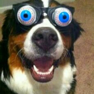 Meet your Posher, Todd